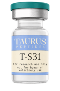 T S31